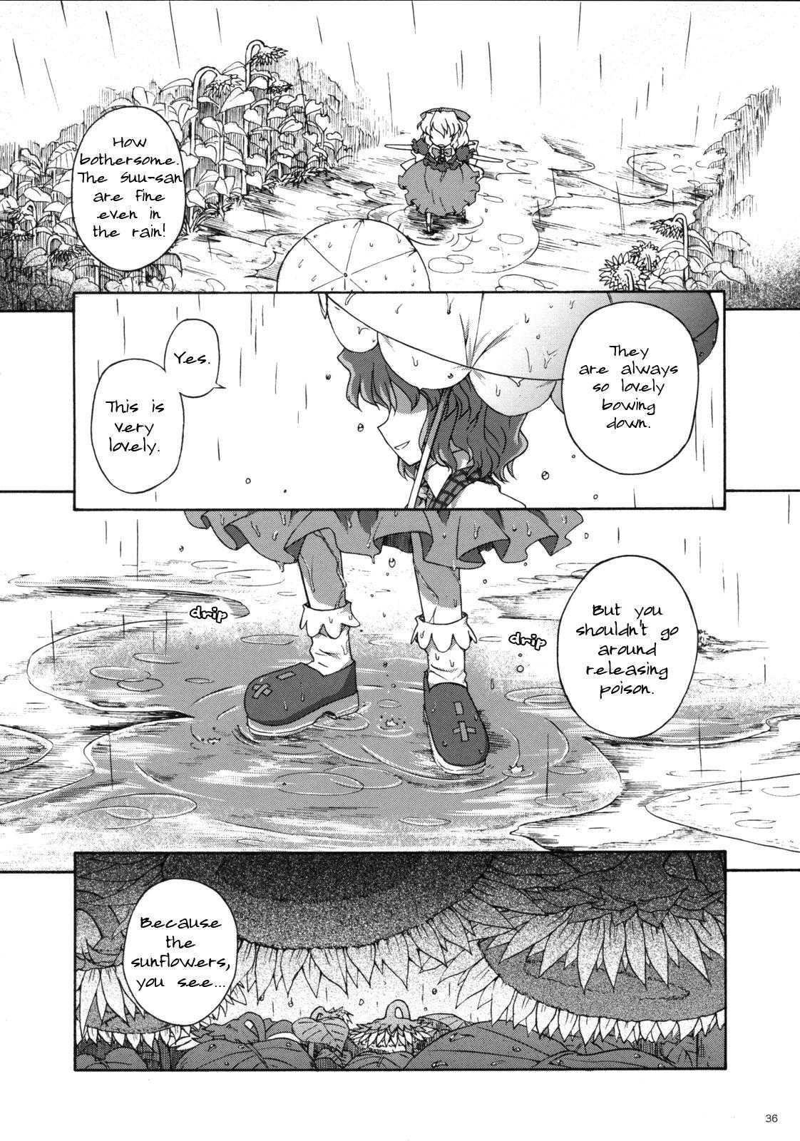 Touhou - Shining Gensokyo (Doujinshi) - episode 2 - 34