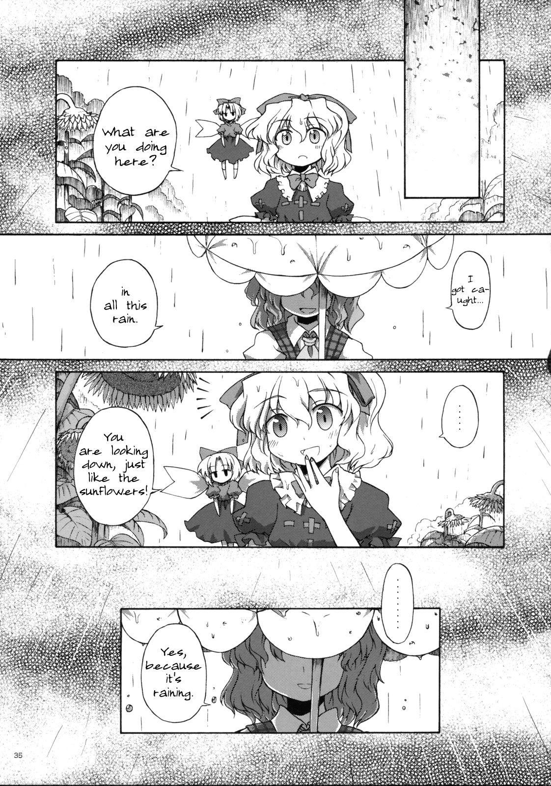 Touhou - Shining Gensokyo (Doujinshi) - episode 2 - 33